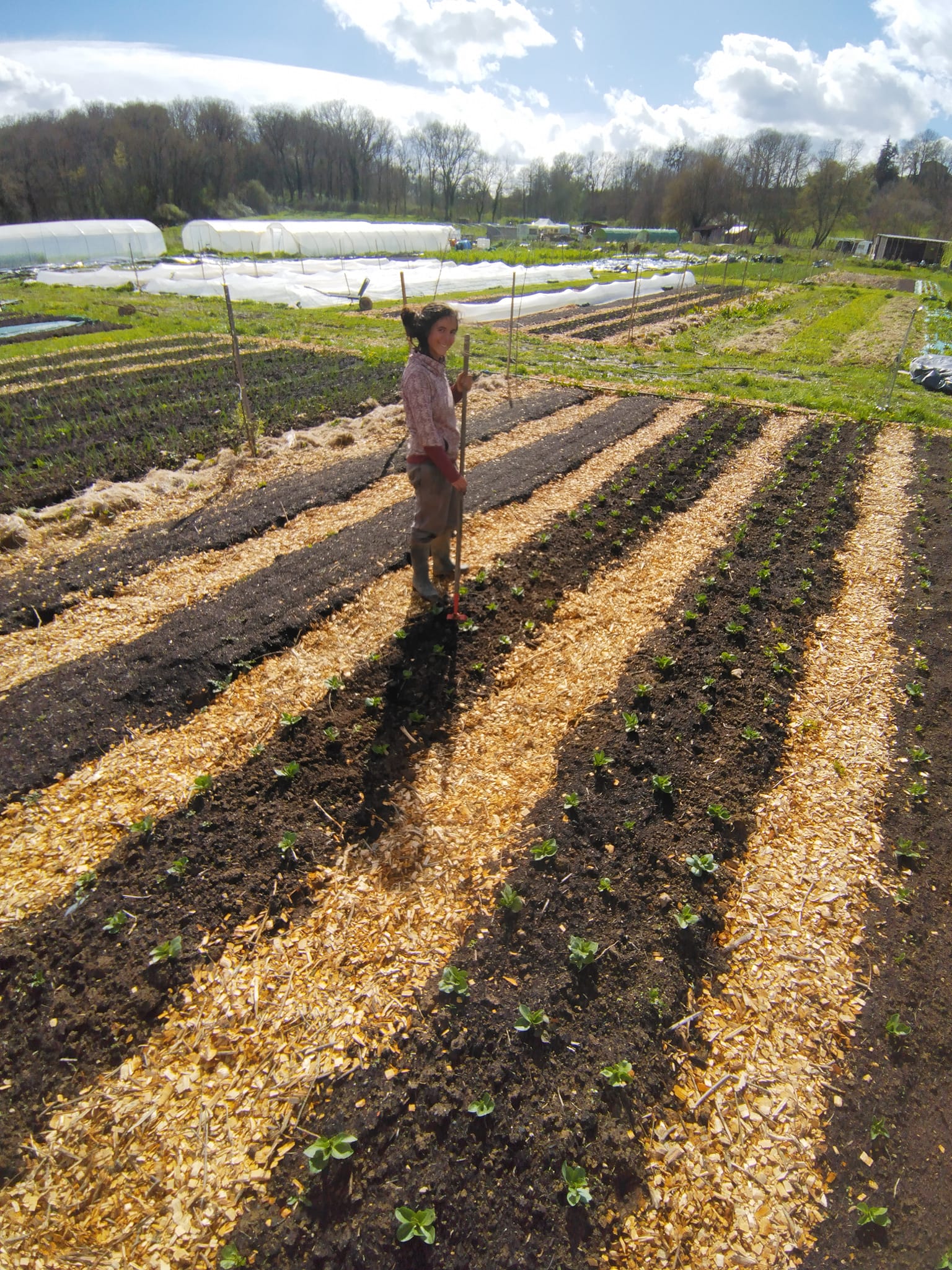 formation agriculture biologique à Saulgé près de de Montmorillon dans la Vienne 86