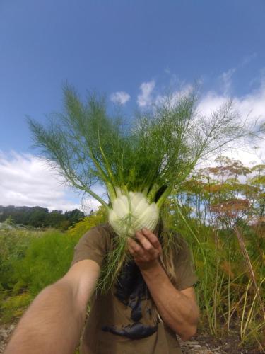 FESTIVAL JUILLET 2024